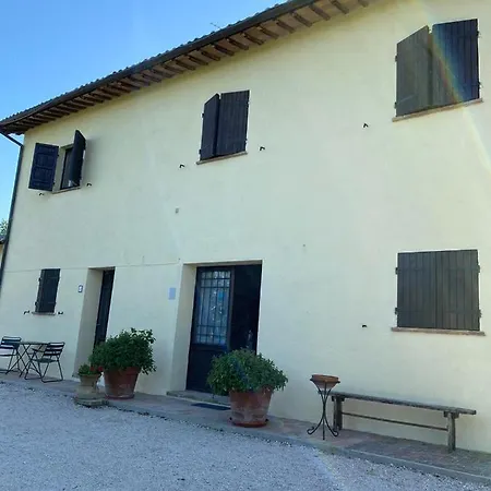 Cardinal Girolamo مونتيفالكو