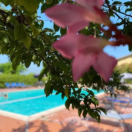 Cardinal Girolamo Bauernhof Montefalco