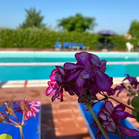 Cardinal Girolamo * مونتيفالكو