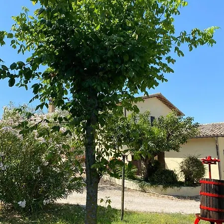 Cardinal Girolamo مزرعة للإقامة