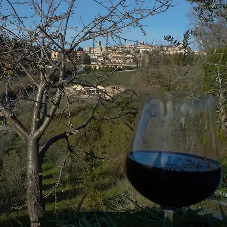 Cardinal Girolamo Montefalco