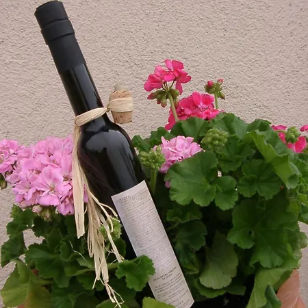 Κατάλυμα σε φάρμα Cardinal Girolamo