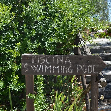 Cardinal Girolamo Montefalco