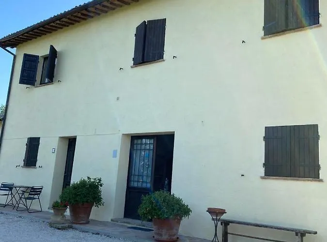 Cardinal Girolamo Montefalco