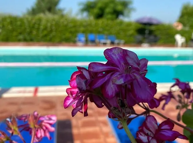 Cardinal Girolamo * Montefalco