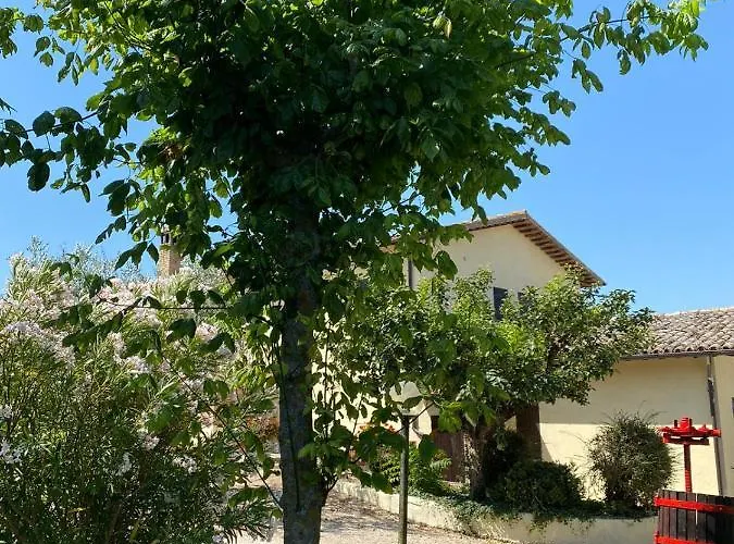 Cardinal Girolamo Gospodarstwo agroturystyczne