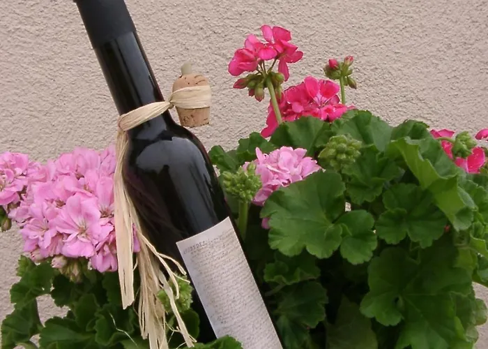 Séjour à la ferme Cardinal Girolamo