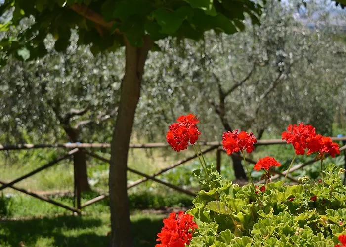 Séjour à la ferme Cardinal Girolamo *