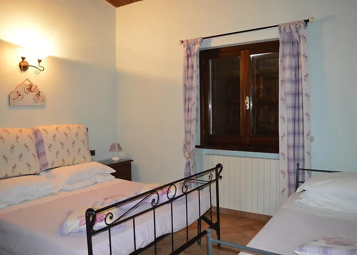 Cardinal Girolamo * Montefalco