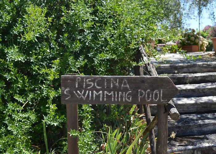 Cardinal Girolamo Montefalco